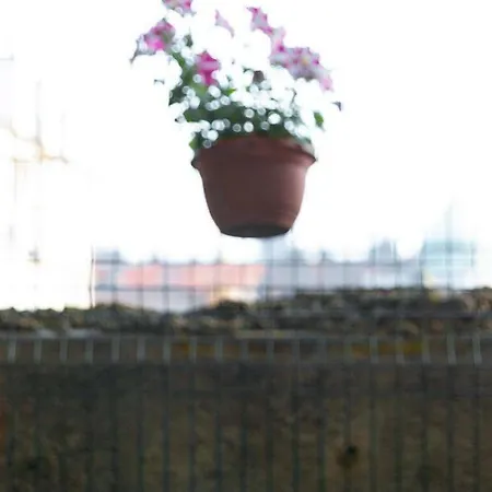 City Garden Apartment *