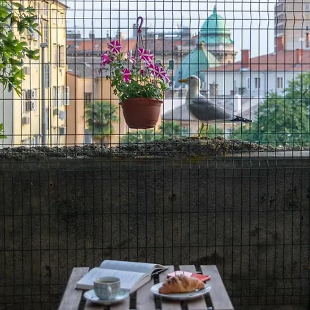 City Garden *